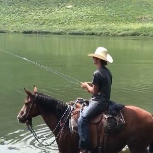 Meet your Posher, Talon